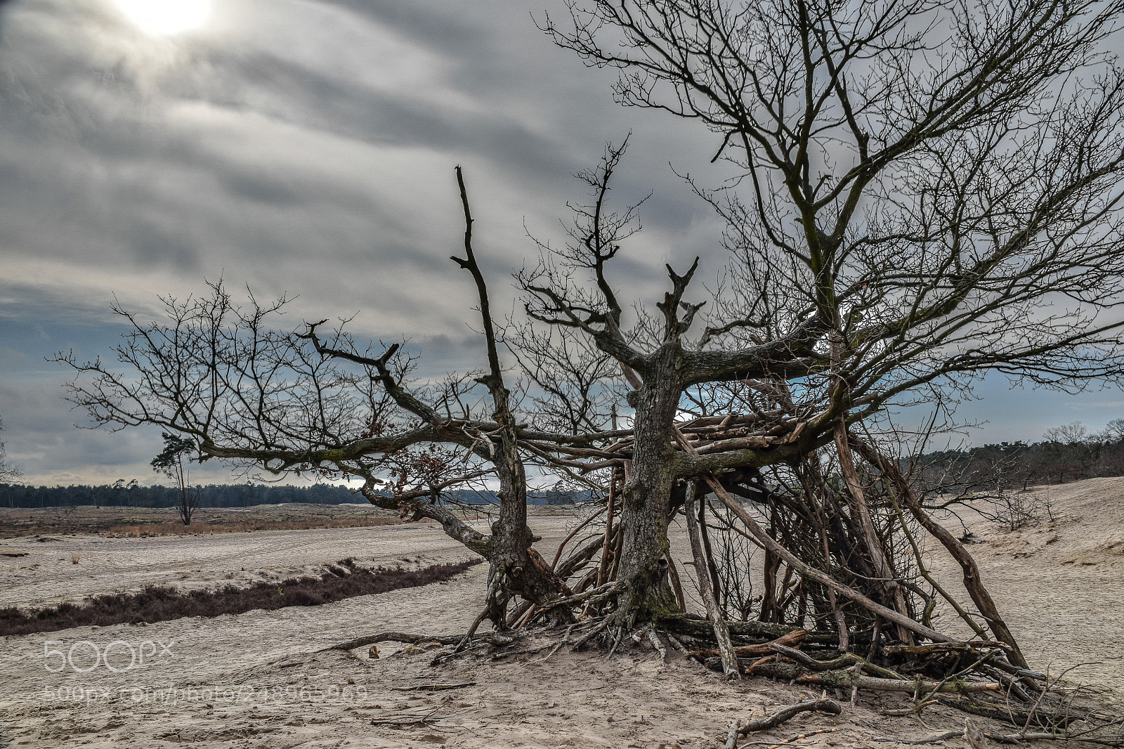 Nikon D5300 sample photo. Drunense duinen 2 photography