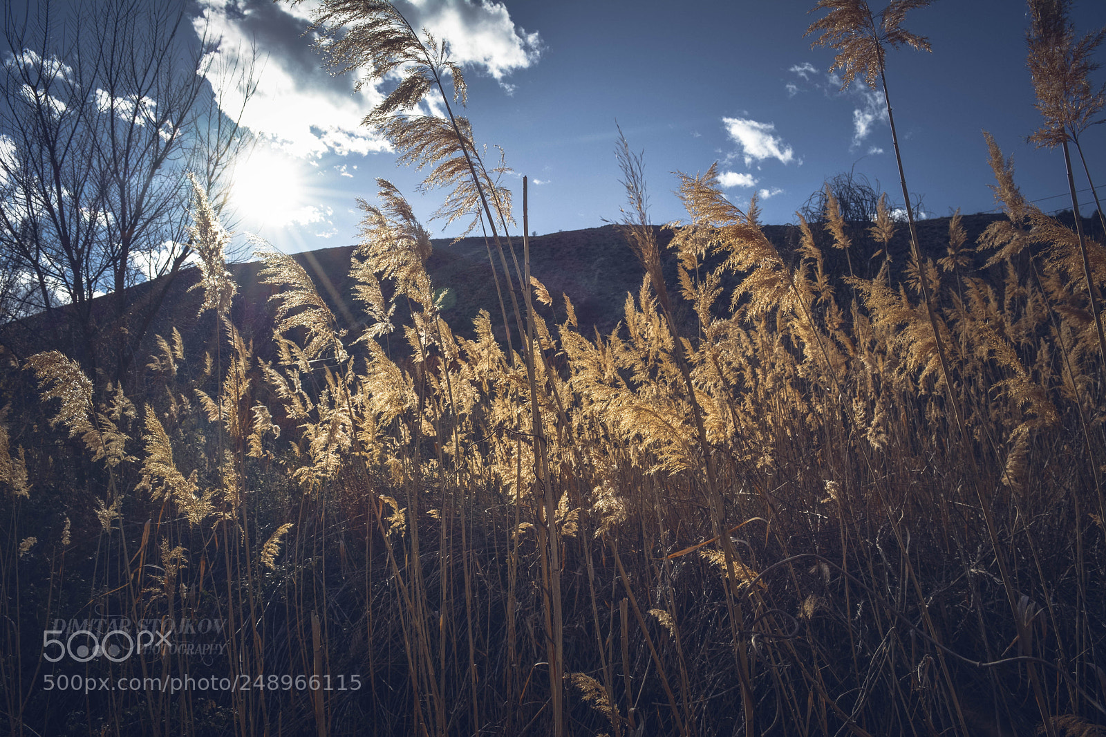 Nikon D5200 sample photo. My nature photography