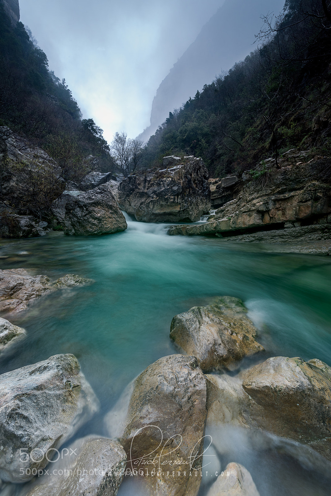 Nikon D810 sample photo. Loup y es tu ?... photography