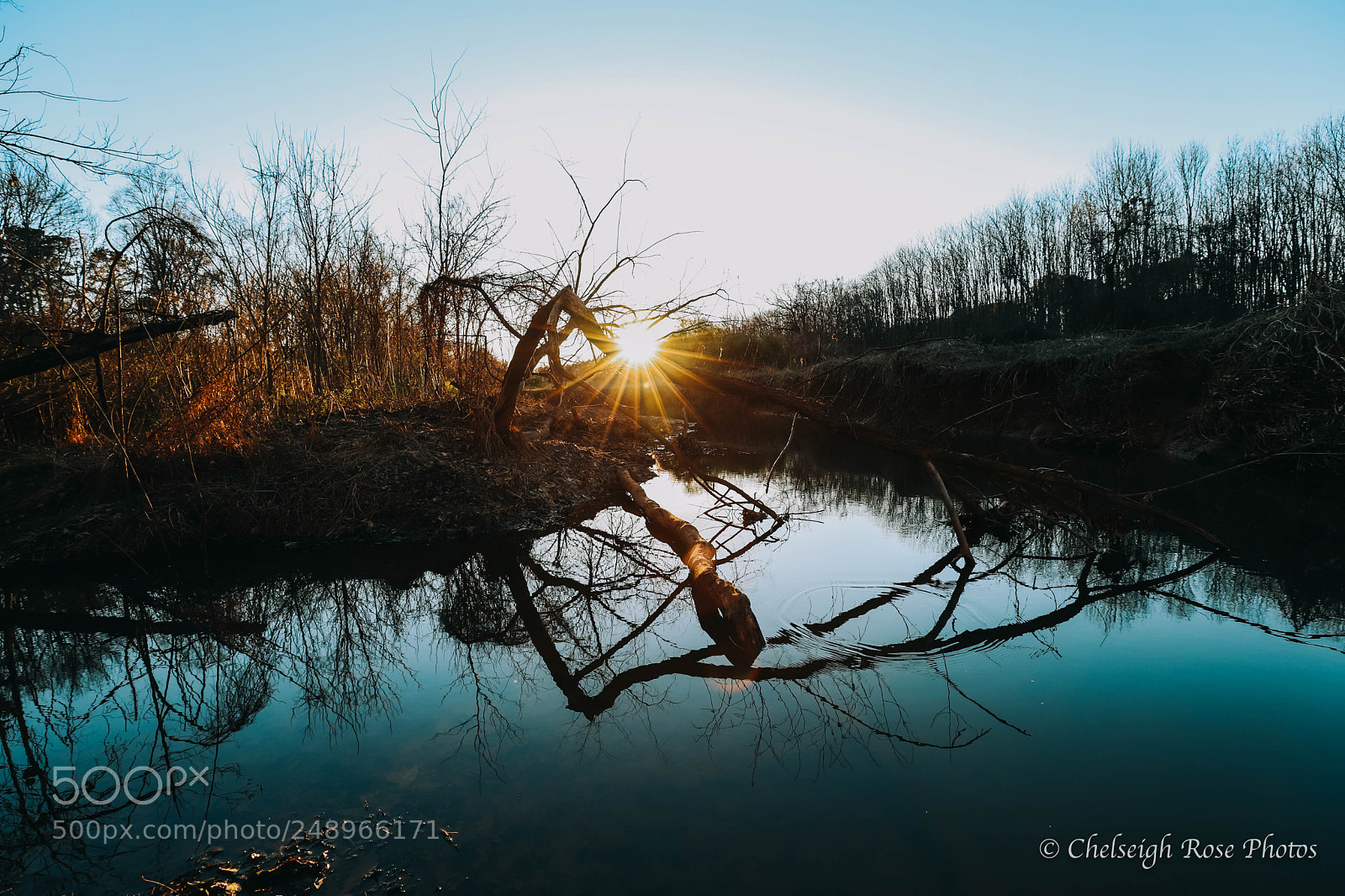 Canon EOS 6D Mark II sample photo. The light shining back photography