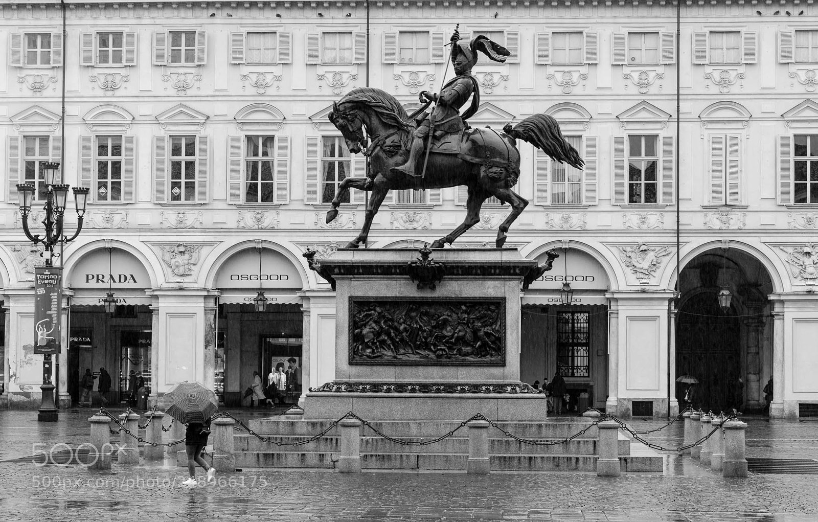 Nikon D3200 sample photo. Under the horse photography