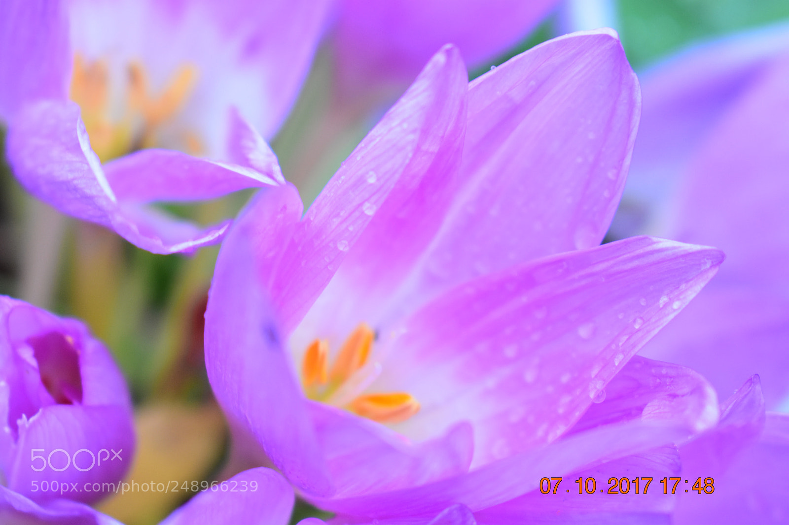 Nikon D3400 sample photo. Untitled photography