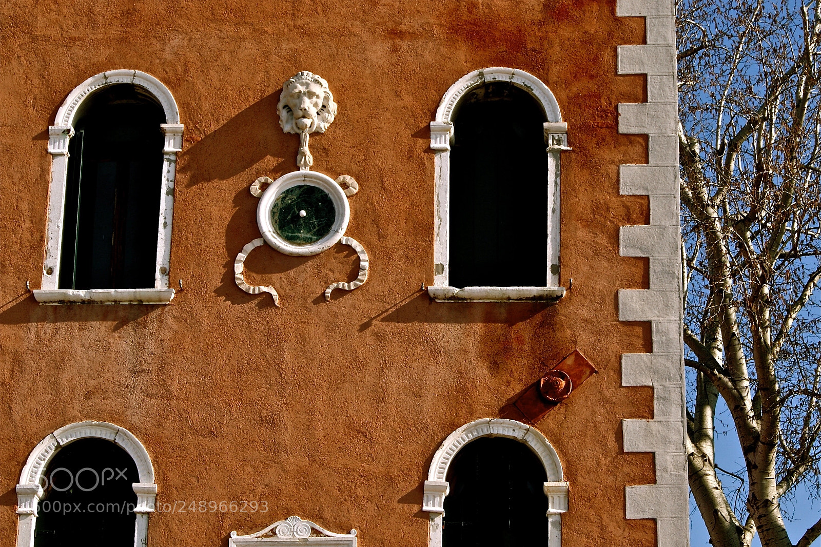Sony Alpha DSLR-A330 sample photo. Venetian red photography