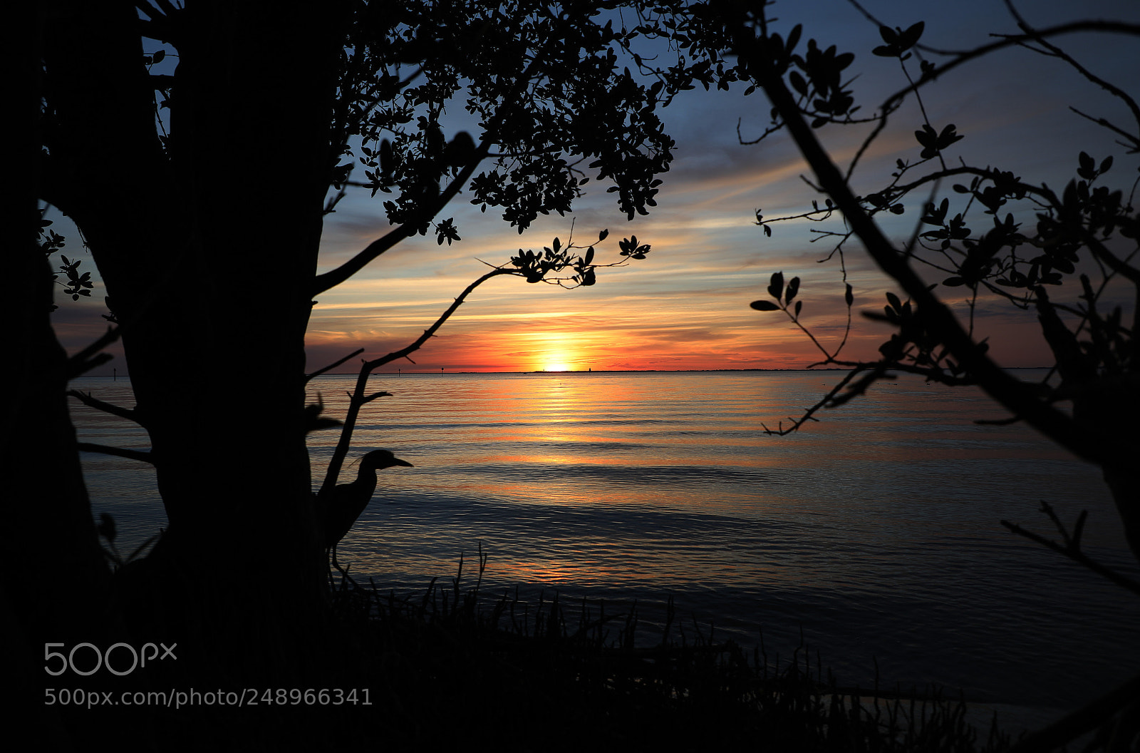 Canon EOS 5D Mark IV sample photo. Sunset with a friend photography