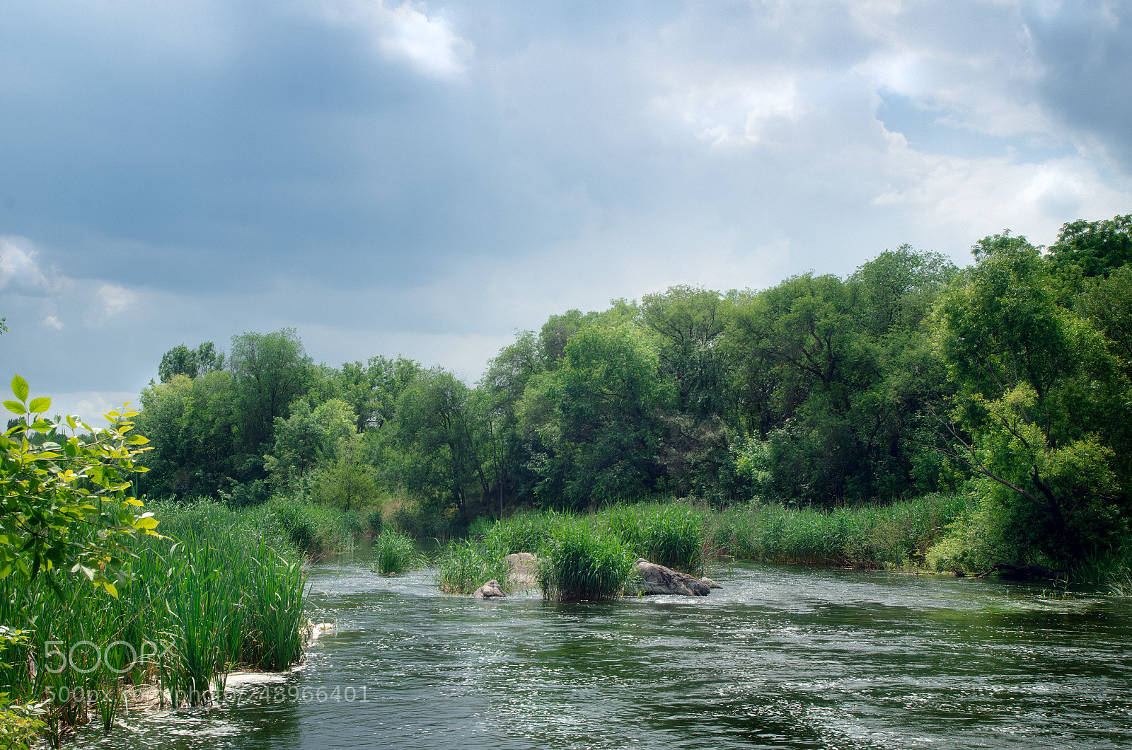 Nikon D7000 sample photo. *** photography