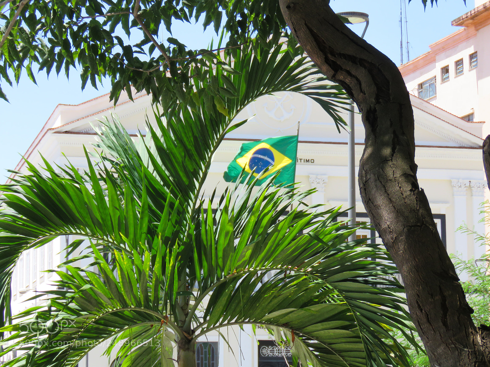 Canon PowerShot SX60 HS sample photo. Img photography