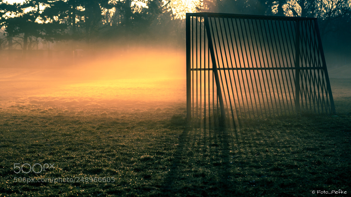 Sony a7 II sample photo. It's more than just photography