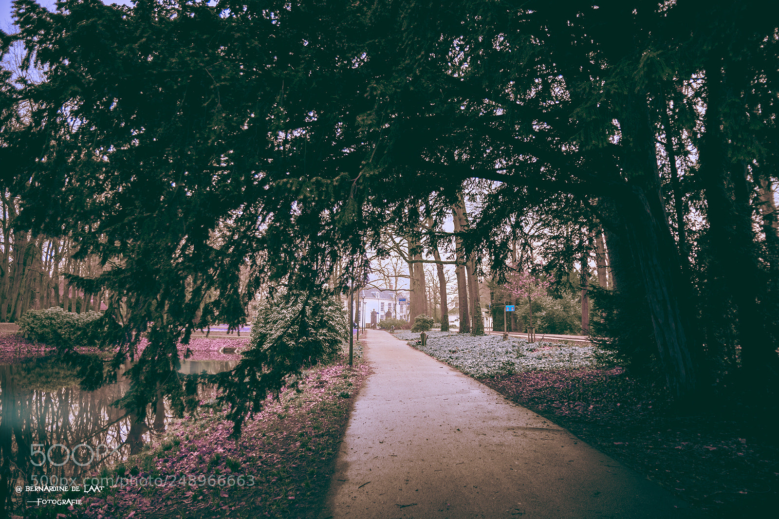 Nikon D7100 sample photo. In the park photography