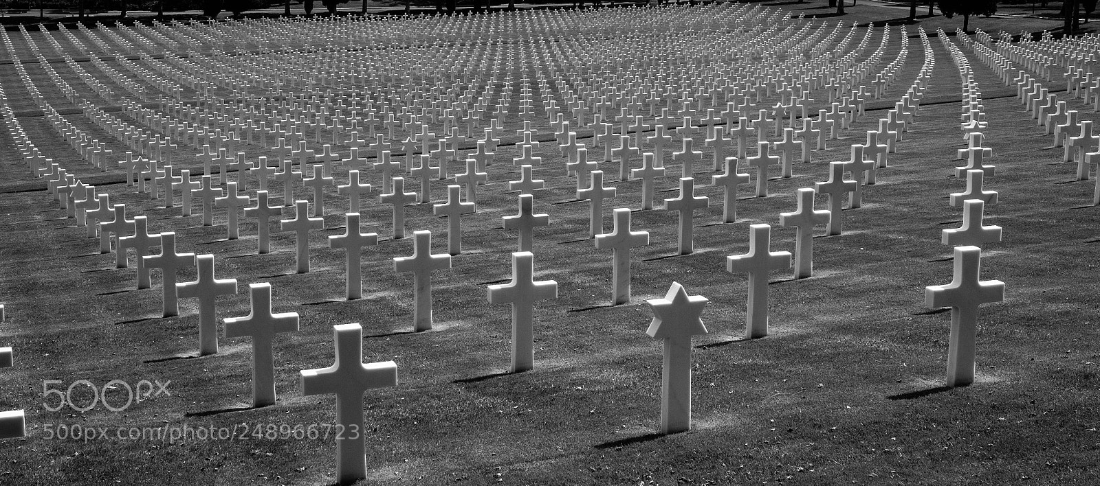 Fujifilm X-Pro1 sample photo. Questa memoria mi toglie photography