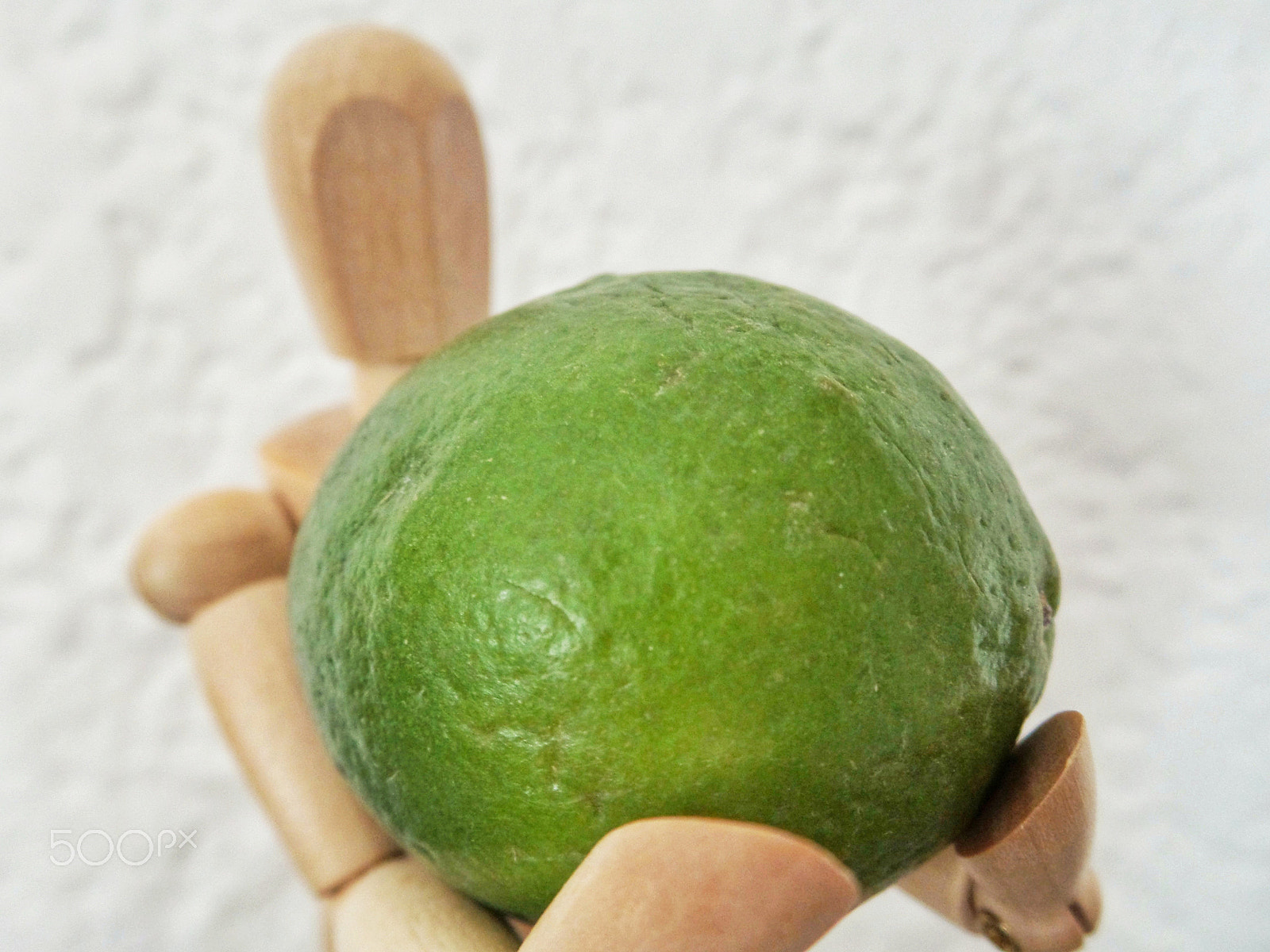 Samsung Galaxy Camera 2 sample photo. Carrying a lime photography