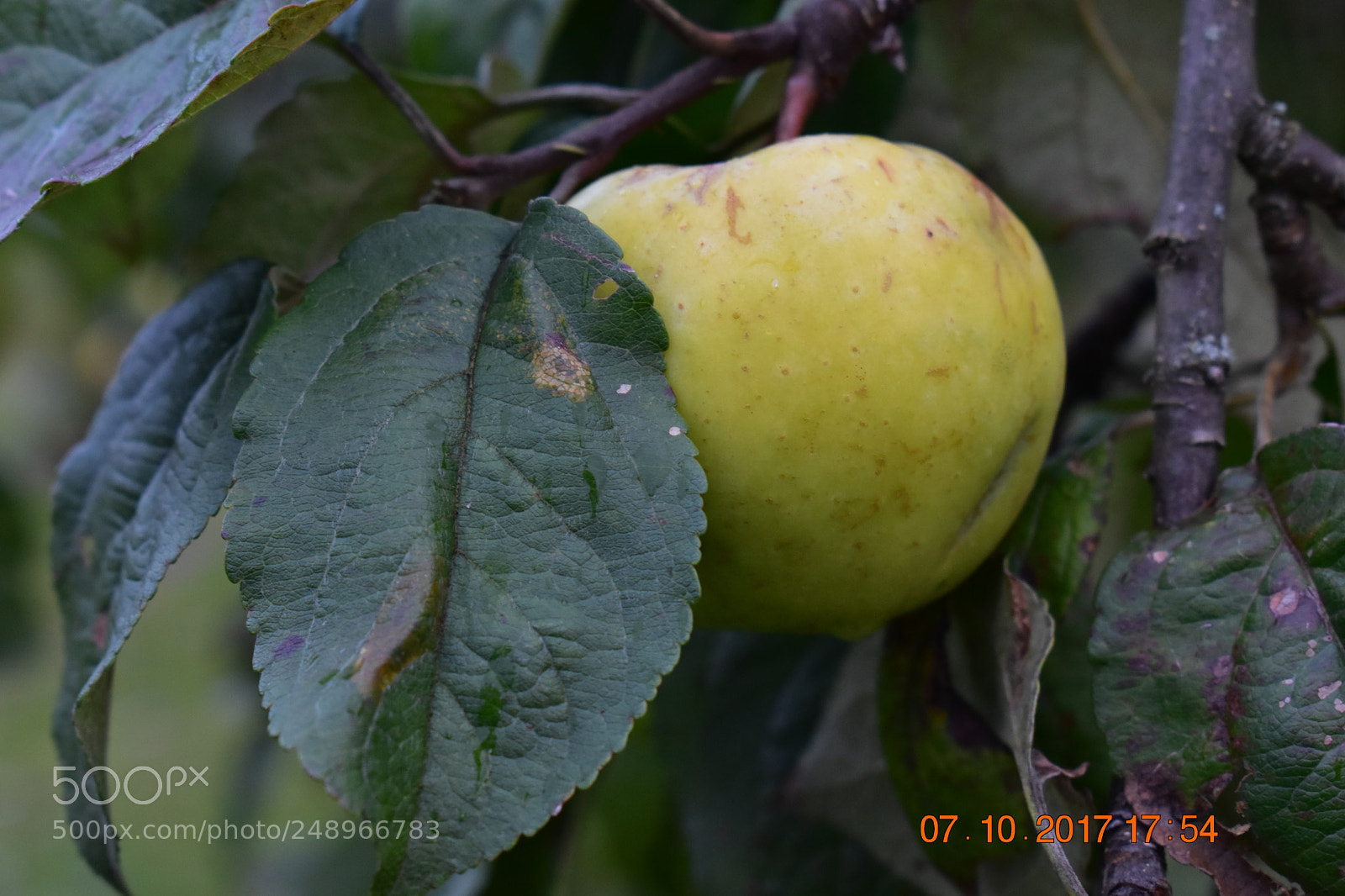 Nikon D3400 sample photo. Untitled photography