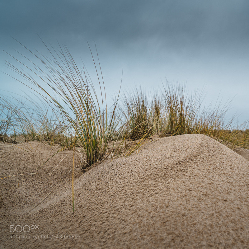 Sony a7R II sample photo. Dune photography