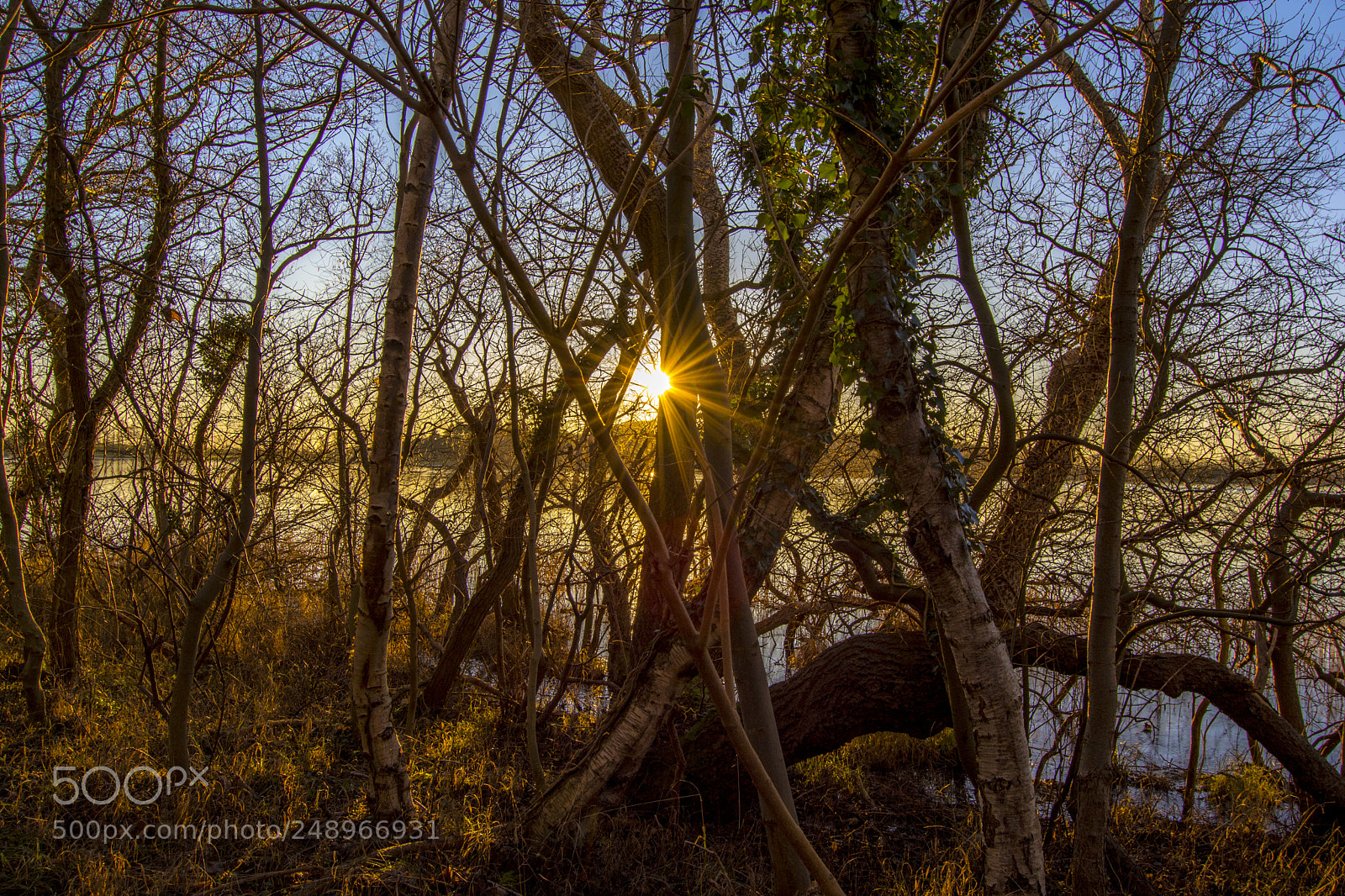 Nikon D5200 sample photo. The lake photography