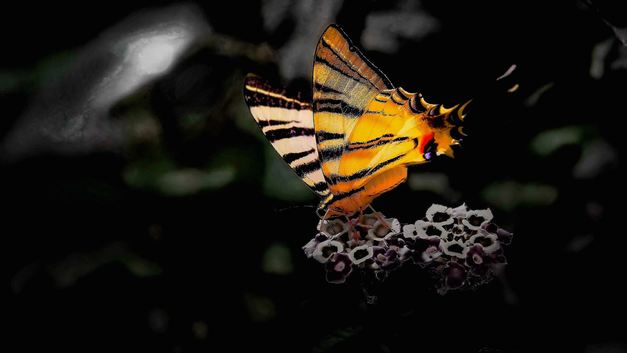 Canon EOS sample photo. Color of nature photography