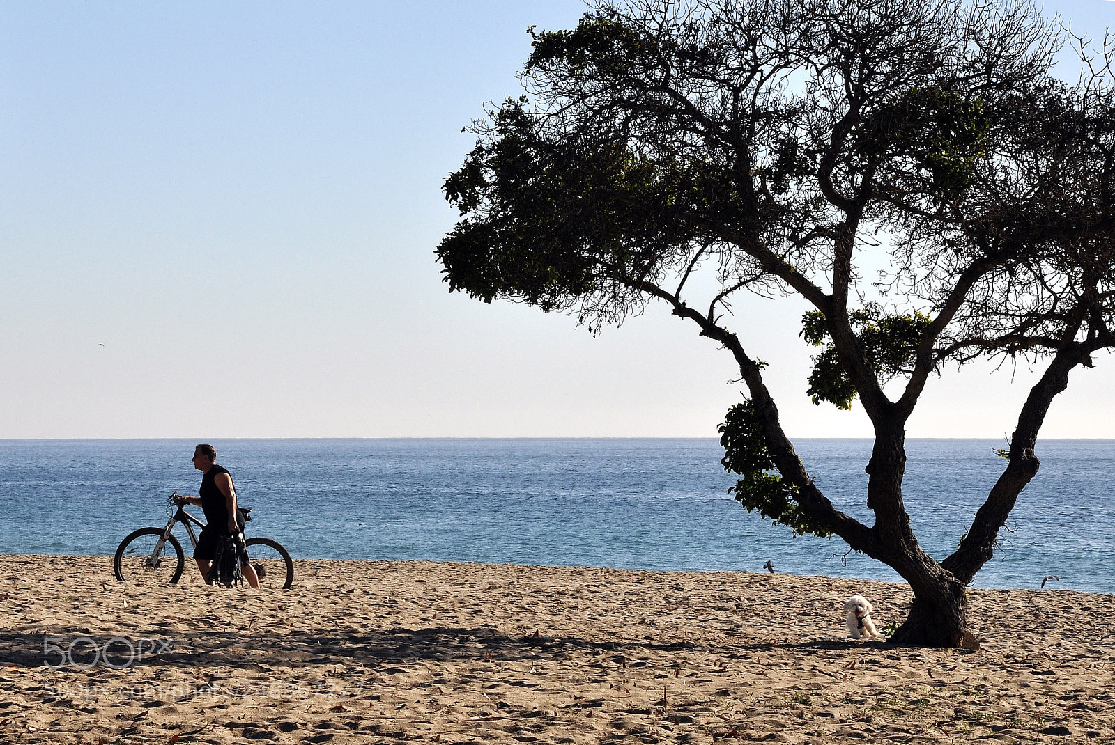 Nikon D90 sample photo. * but seriously * photography