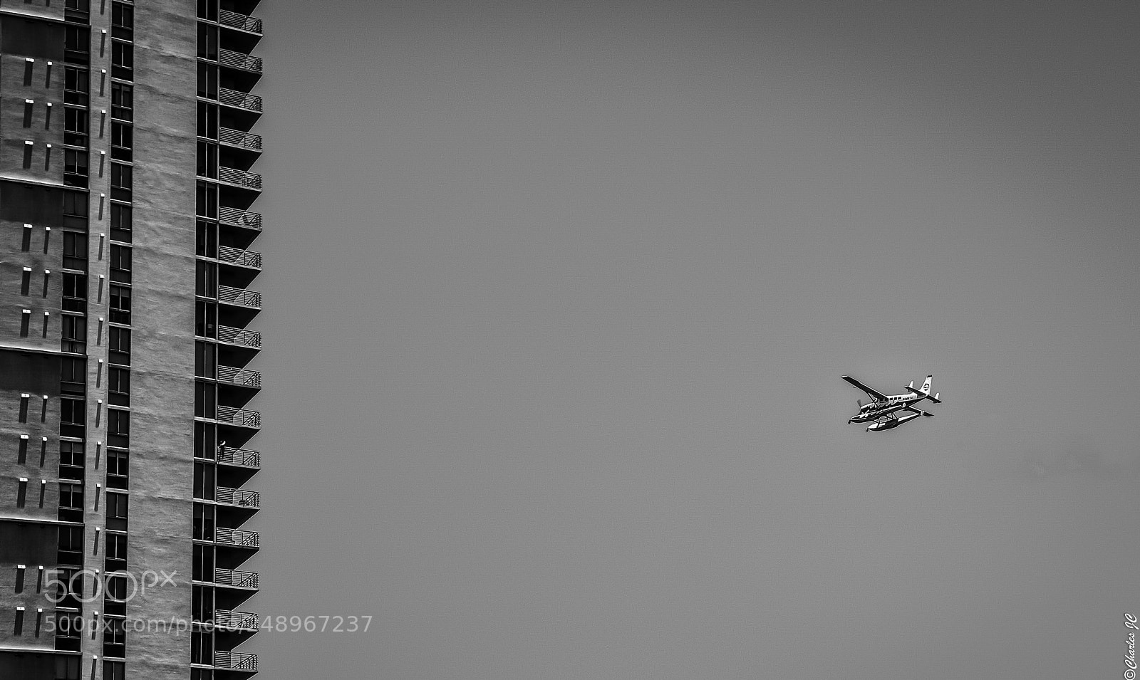 Nikon D5300 sample photo. A fly by photography