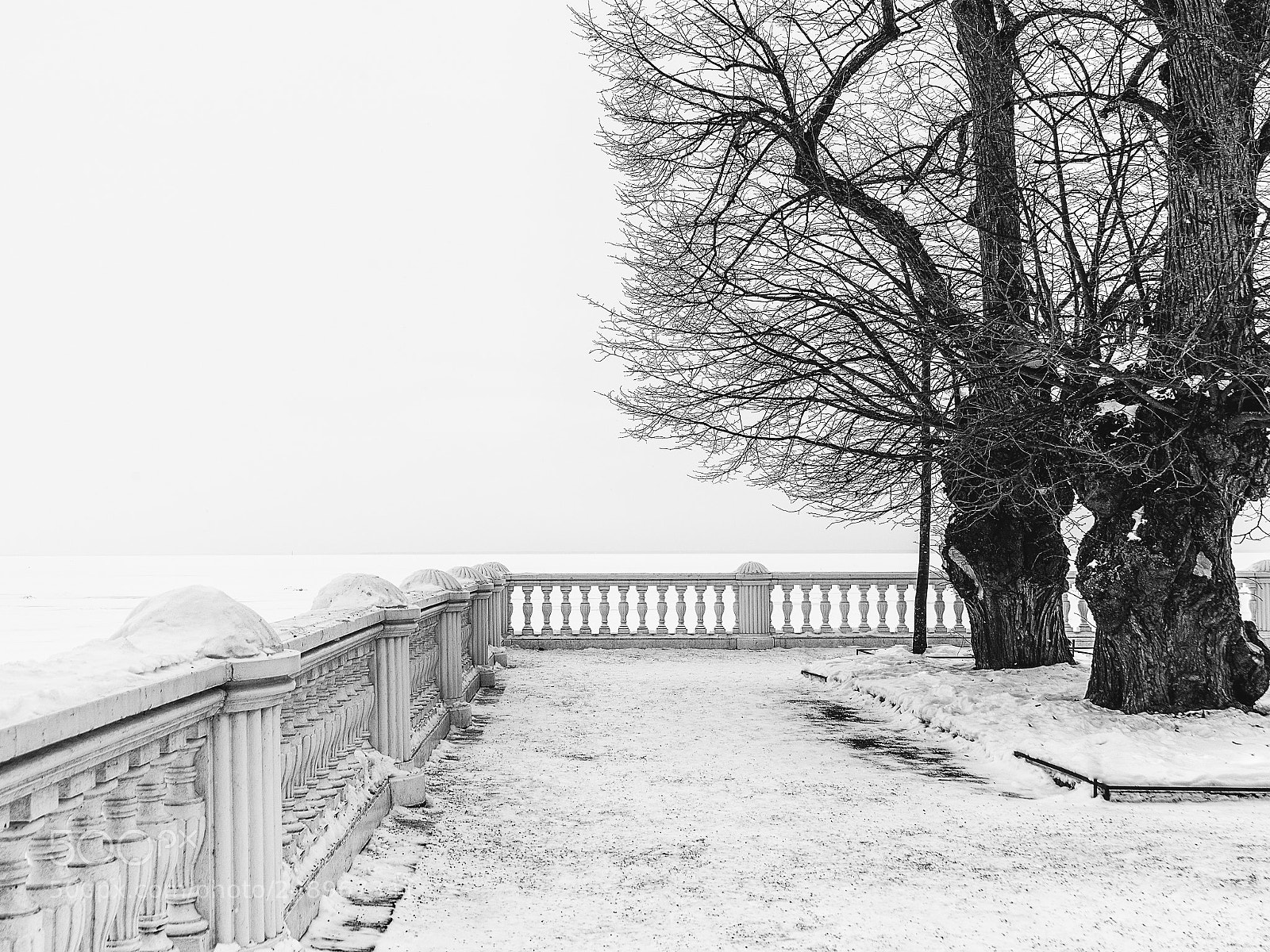 Nikon D610 sample photo. Black and white photography