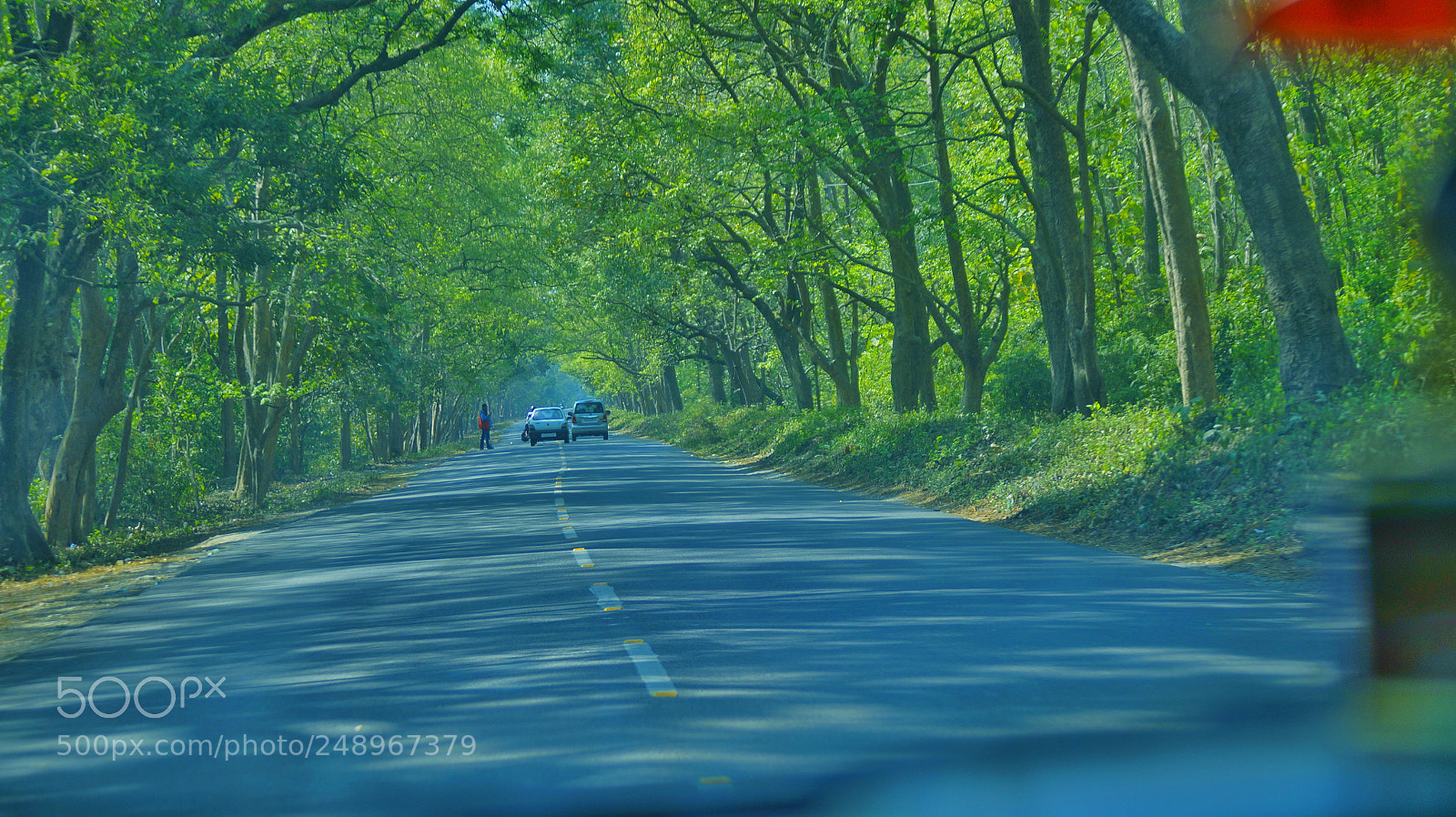 Sony SLT-A58 sample photo. Untitled photography