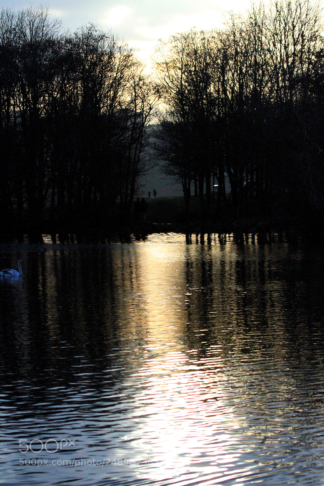 Canon EOS 7D sample photo. ... photography