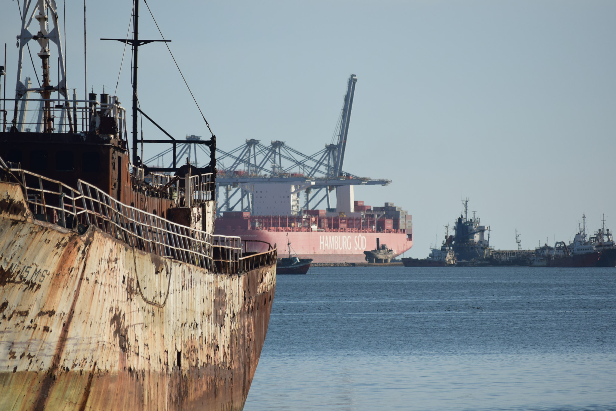 Nikon D5300 sample photo. Port of montevideo photography