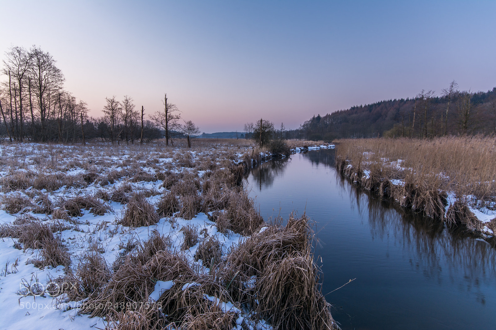 Nikon D7100 sample photo. Fr h morgens an photography