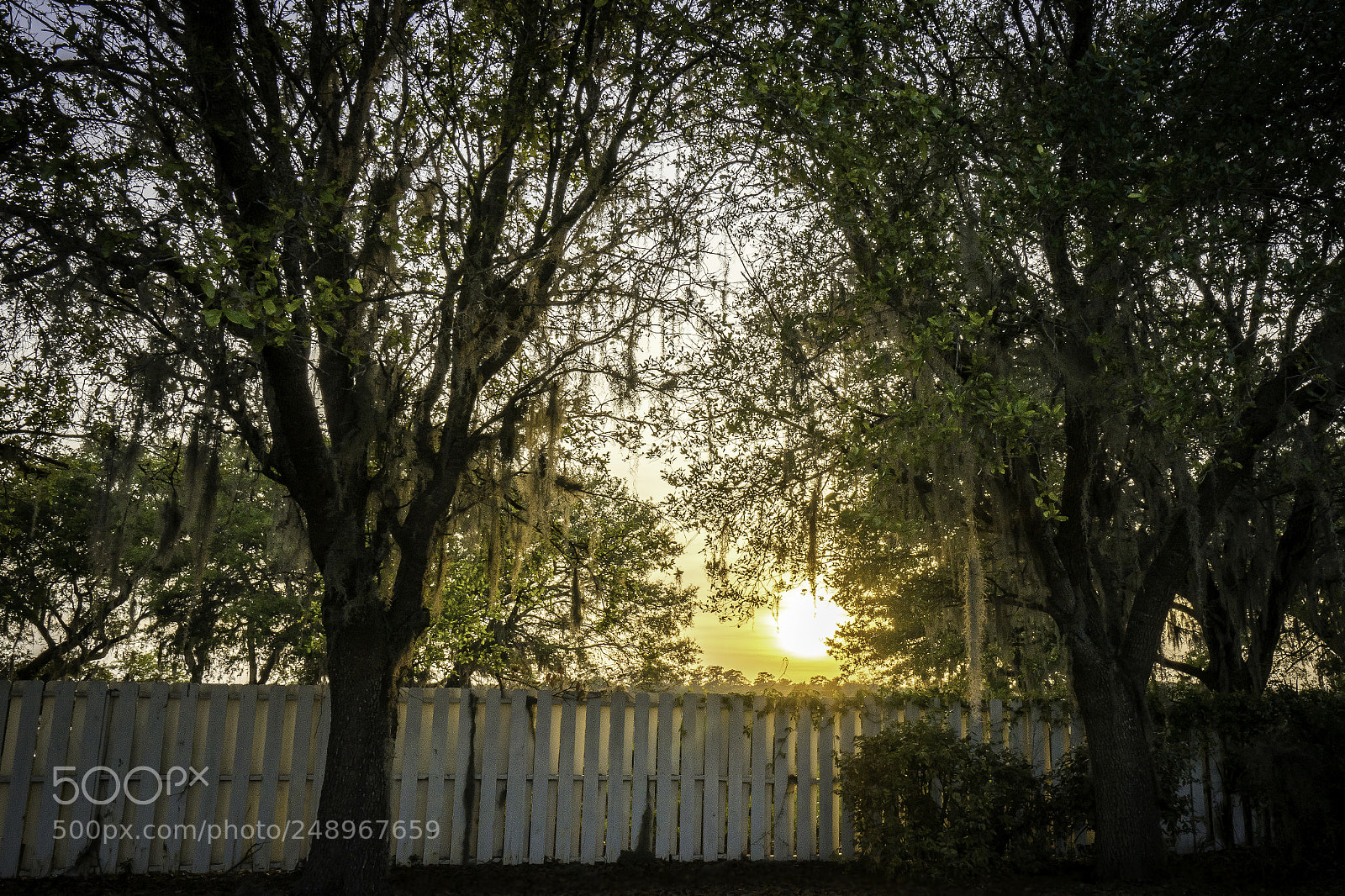 Sony a7 II sample photo. Charleston sunset photography