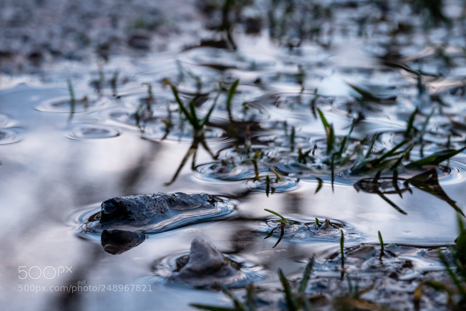 Fujifilm X-Pro2 sample photo. Ripples in a puddle photography