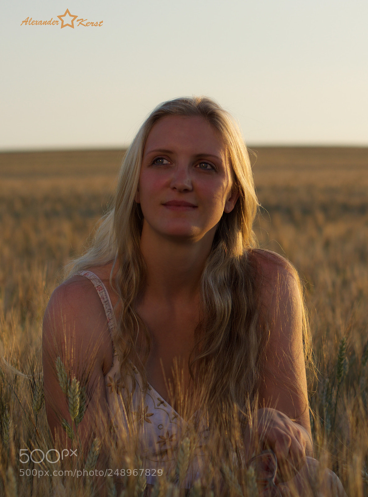 Nikon D5100 sample photo. Golden summer photography
