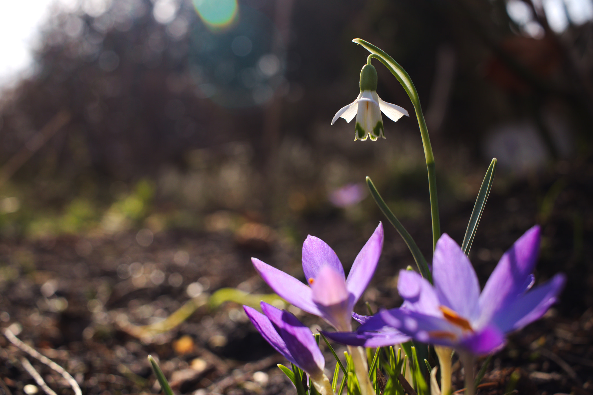 Canon EF-S 24mm F2.8 STM sample photo