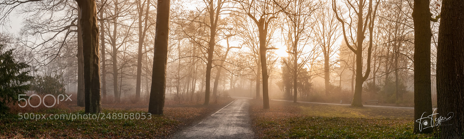 Nikon D300 sample photo. Spring in ringpark wuerzburg photography