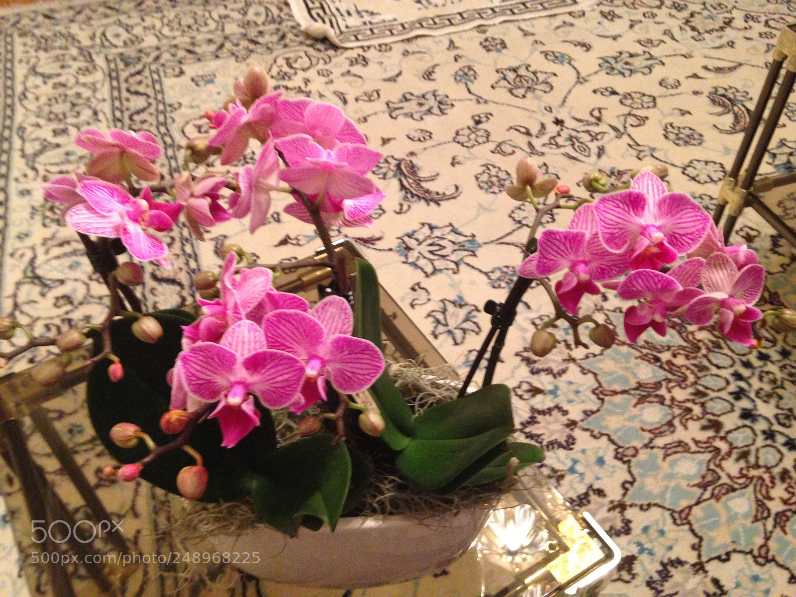 Apple iPhone 5 sample photo. Untitled photography
