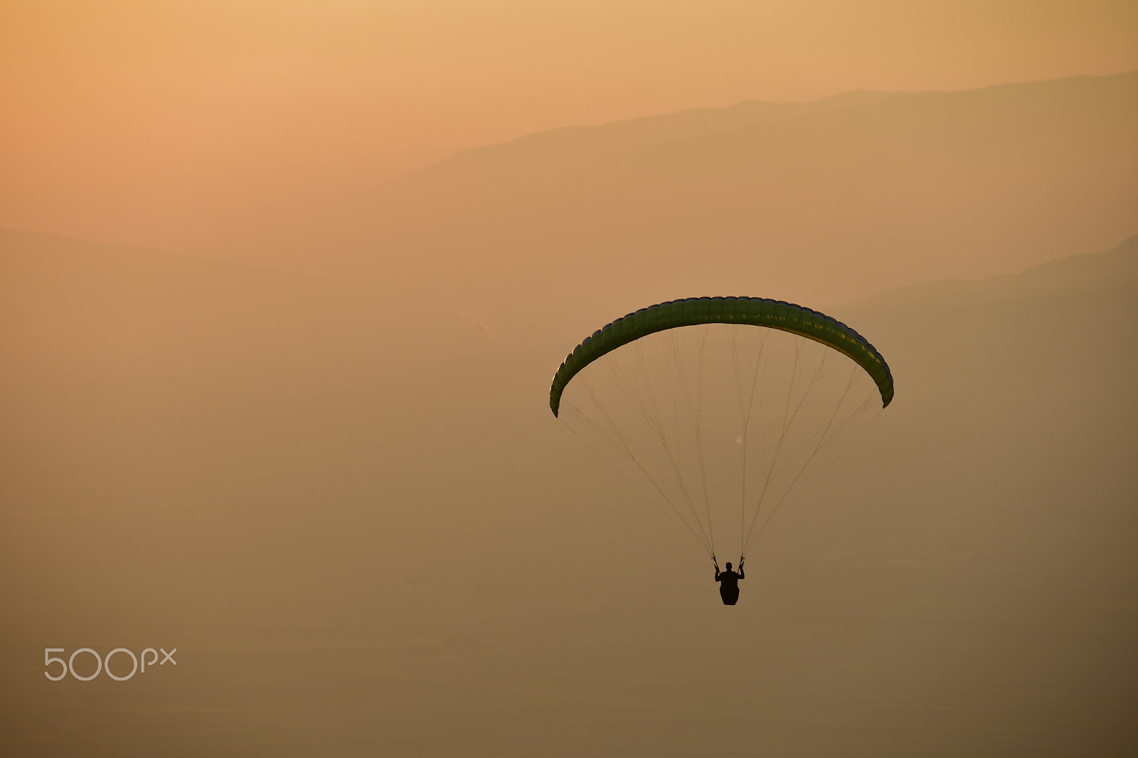 Nikon D500 sample photo. Flight photography