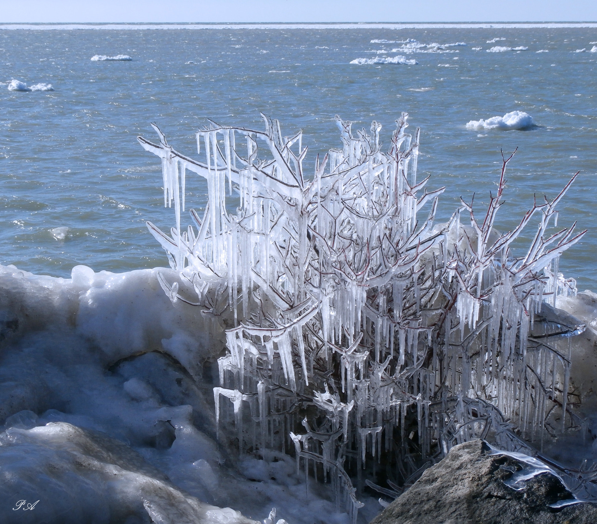 Olympus SZ-15,DZ-100 sample photo. It is cold outside... photography