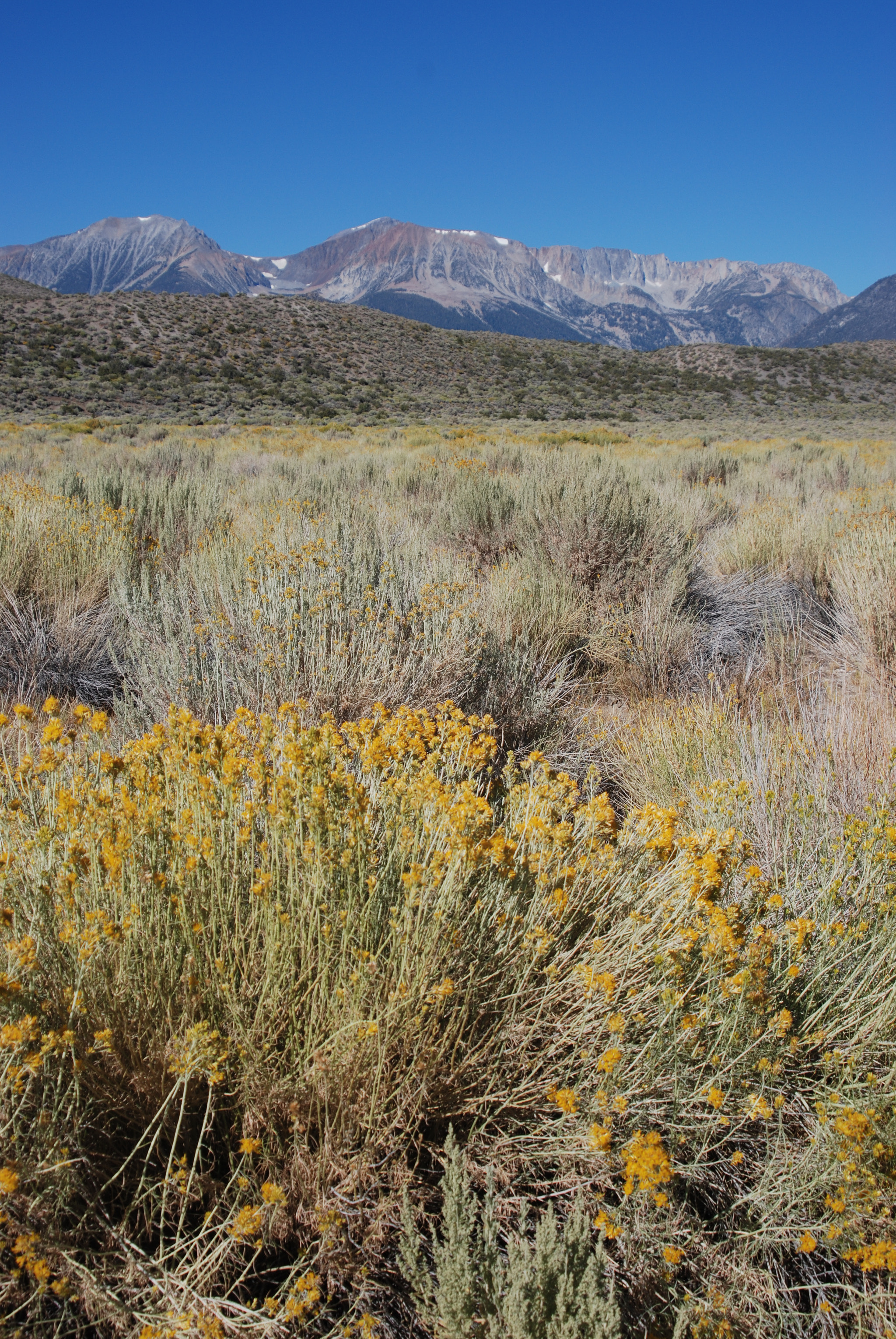 Nikon D80 sample photo. Mountain view from mono lake, 2010 photography