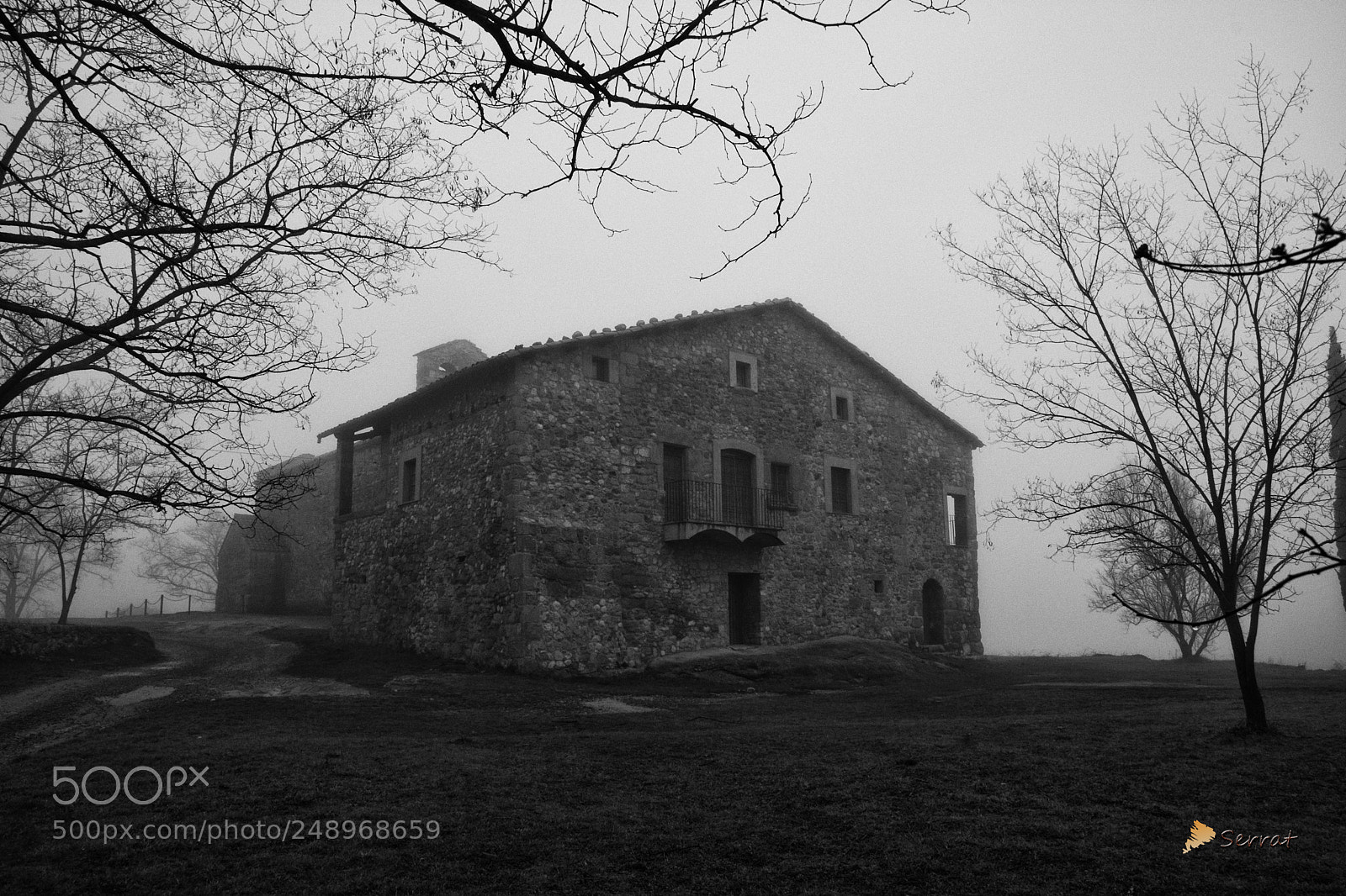 Nikon D7100 sample photo. Blanco i negro photography
