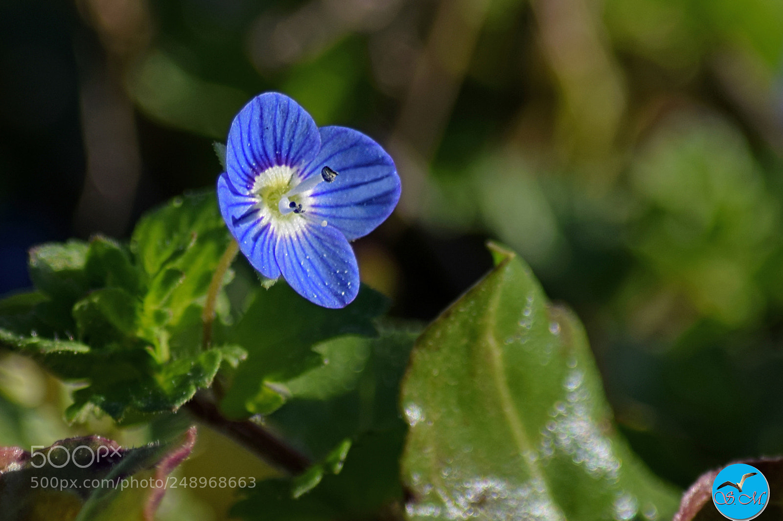 Nikon D3300 sample photo. Ouiiiii... du soleil ! photography