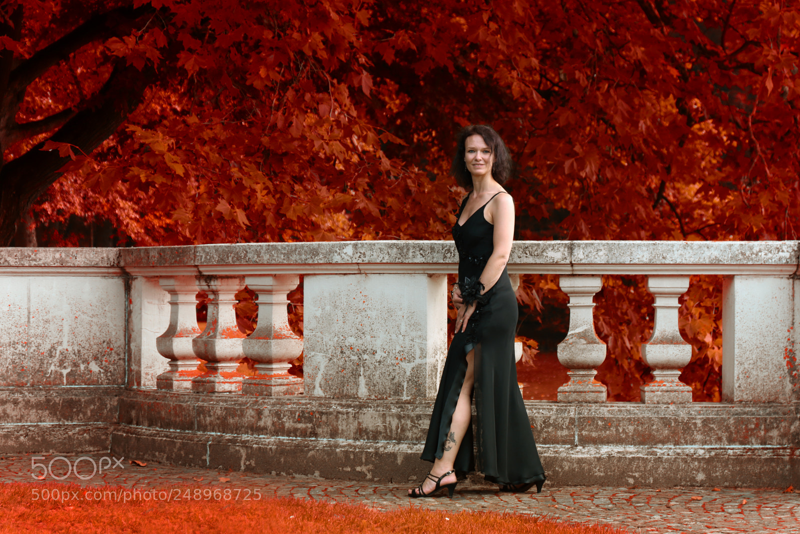 Canon EOS 7D Mark II sample photo. Redland photography