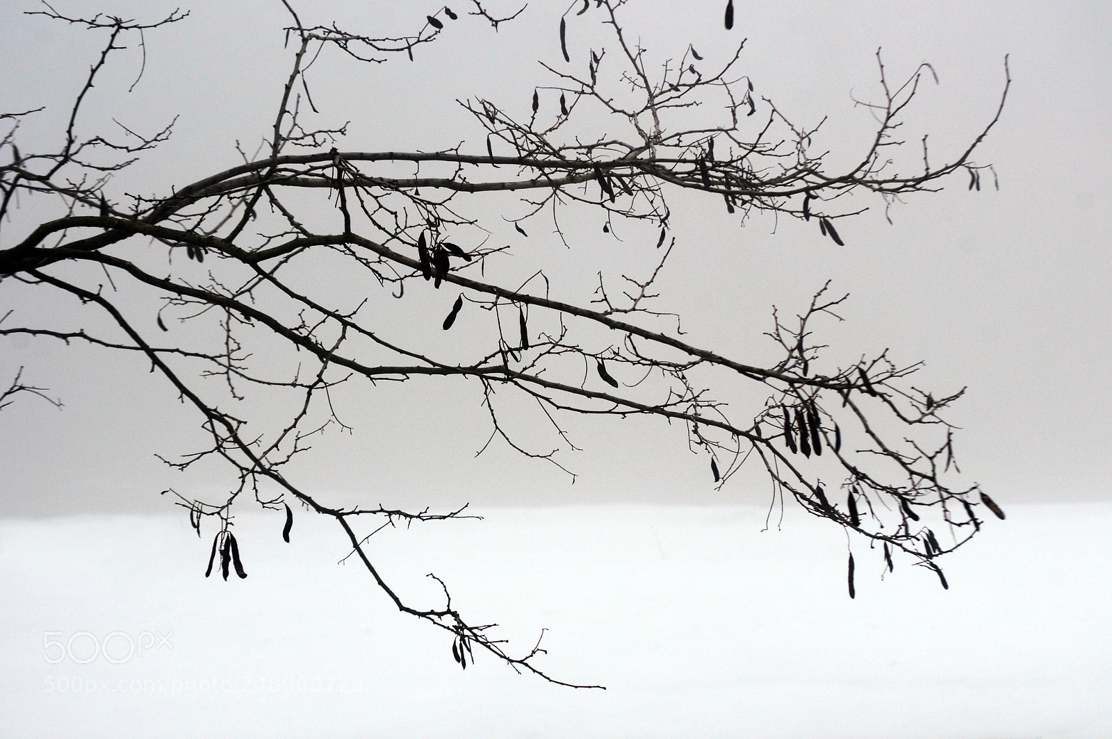 Nikon D3200 sample photo. Grey photography