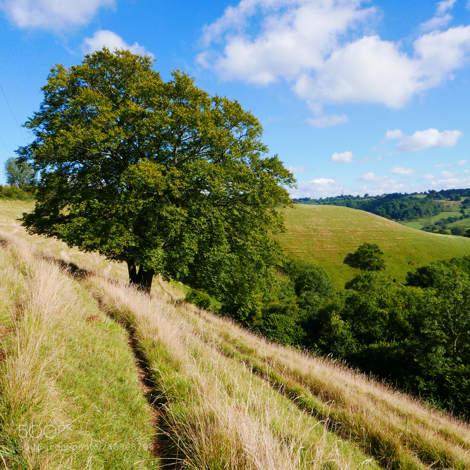 Panasonic Lumix DMC-LX100 sample photo. Strip lytchetts - gloucestershire photography