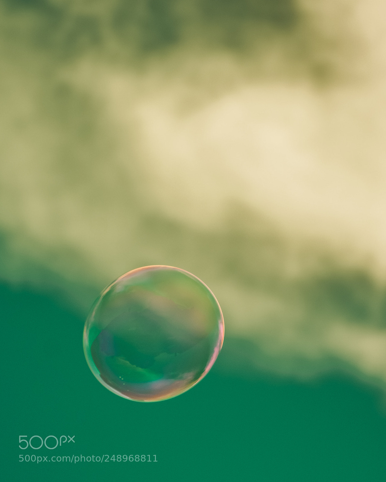 Nikon D7100 sample photo. Bubble photography