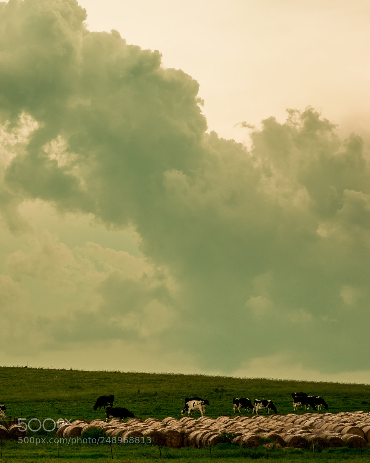 Nikon D7100 sample photo. Dairy cloud photography