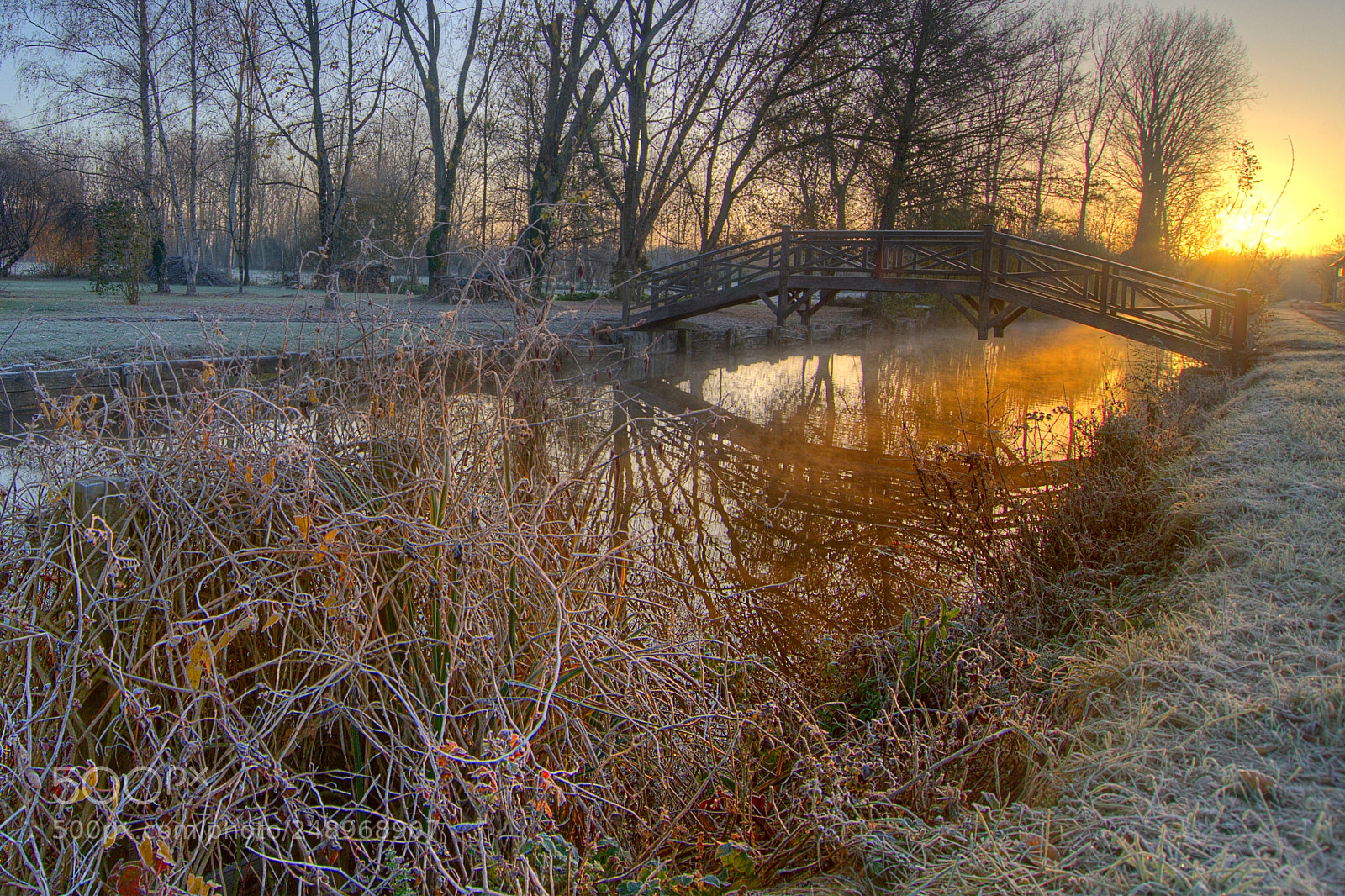 Nikon D7000 sample photo. Par défaut photography