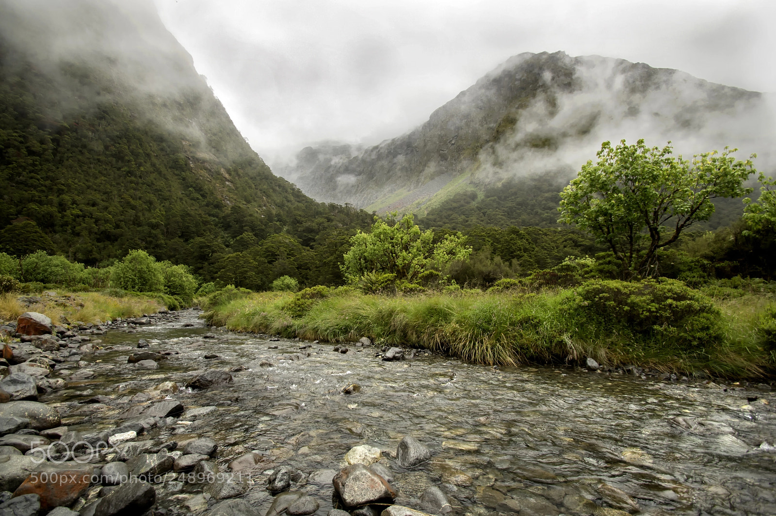 Pentax K-3 II sample photo. Fiordland photography