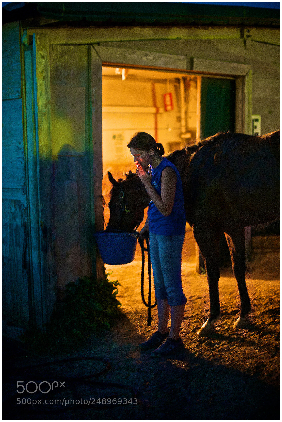 Nikon D700 sample photo. Untitled photography
