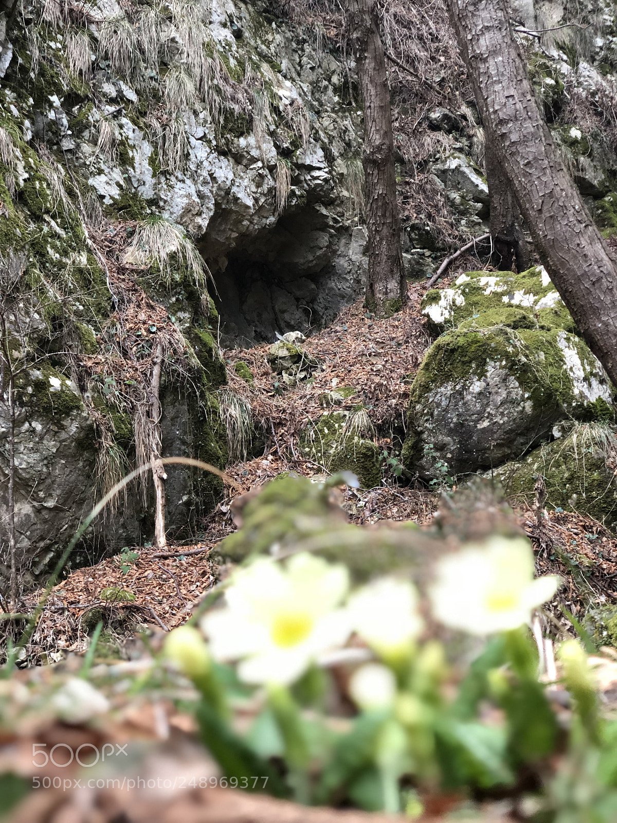 Apple iPhone X sample photo. Untitled photography