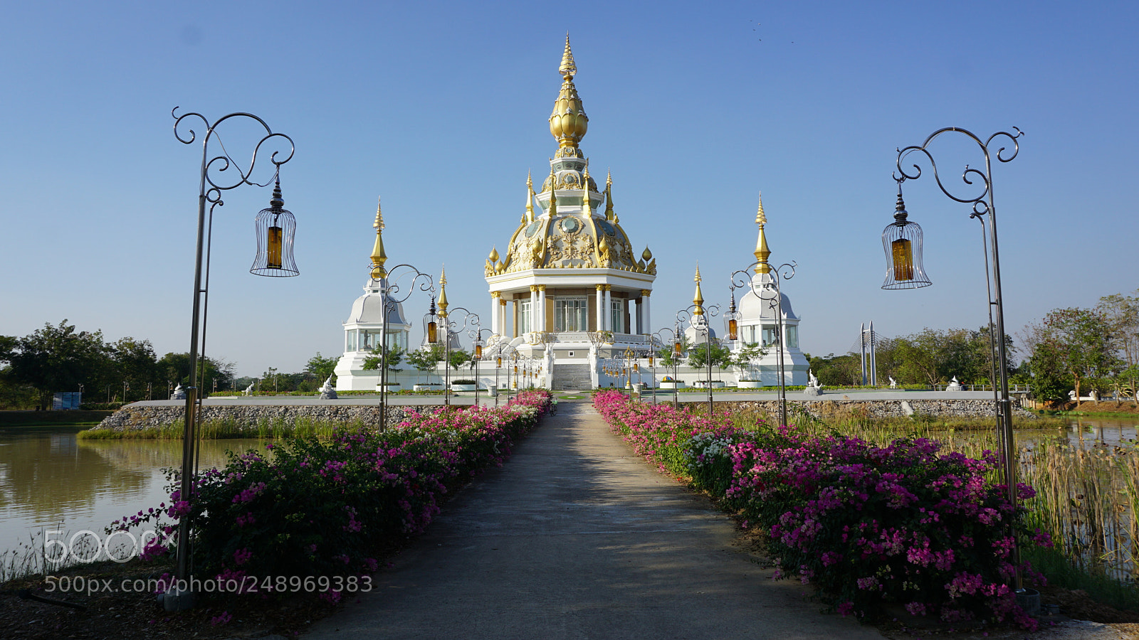 Sony a6000 sample photo. Dsc photography