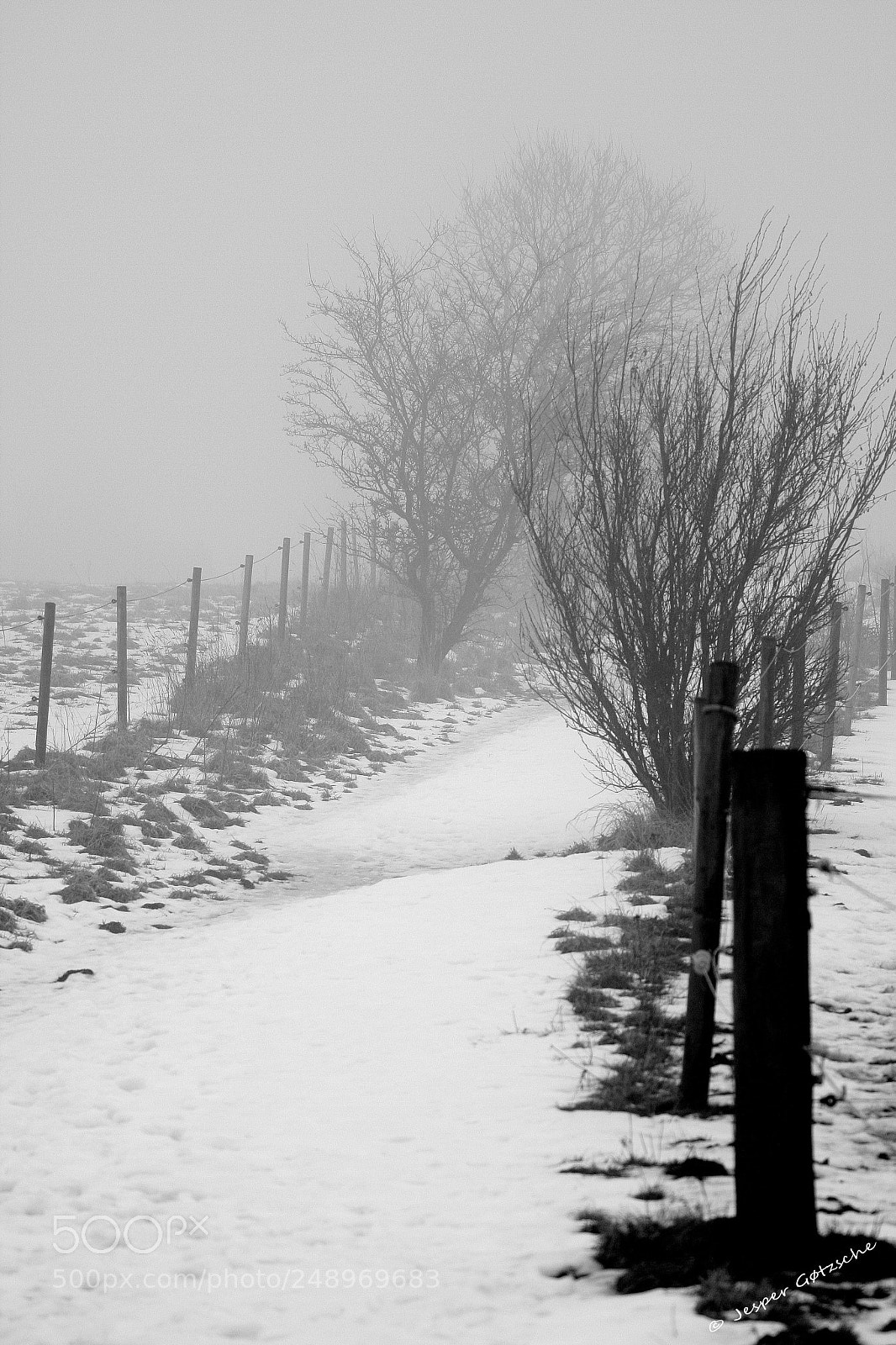 Canon EOS 40D sample photo. Untitled photography