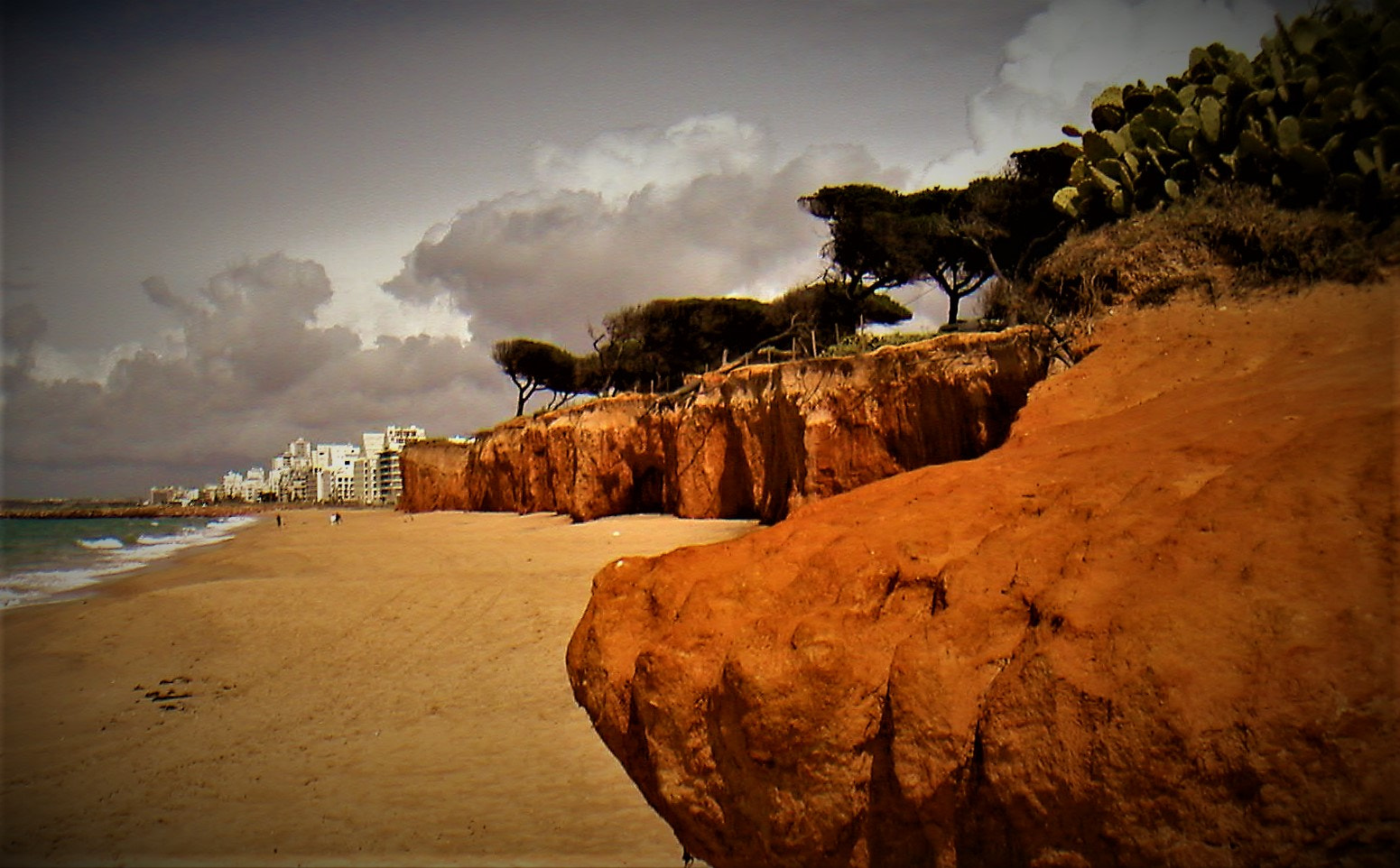 KONICA MINOLTA DiMAGE X sample photo. Red sand photography