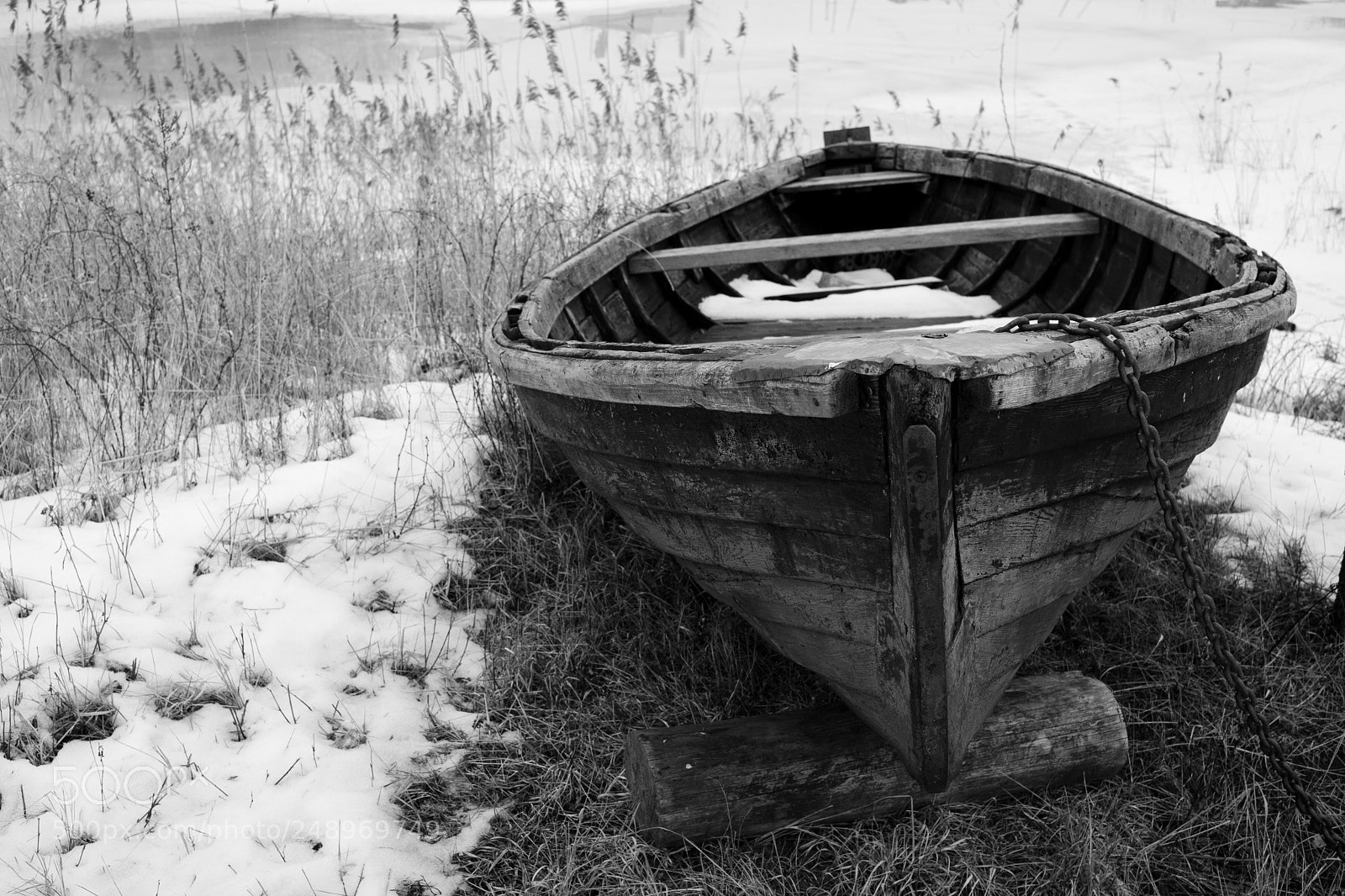 Sony a6000 sample photo. The winter bed photography