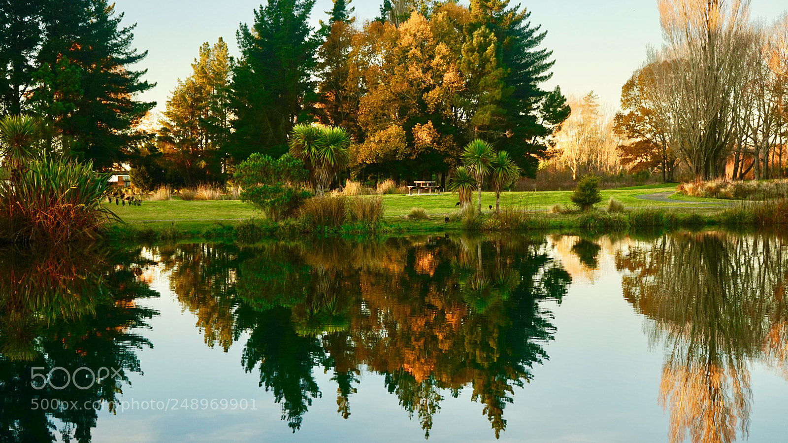 Sony a7 sample photo. Autumn reflections photography